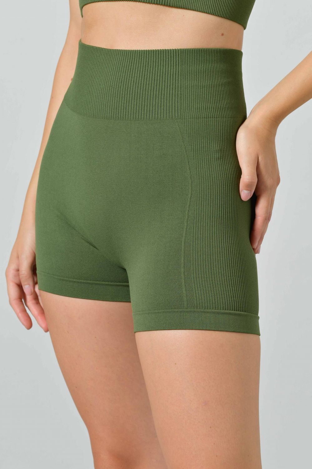 copy of High-Waisted Seamless Microfiber Ribbed Sports Shorts, Ilena Collection