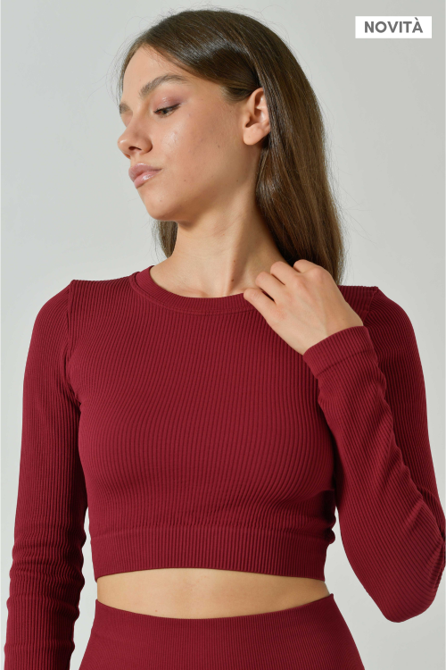 Long Sleeve Seamless Microfiber Ribbed Crop Top, Sara Collection