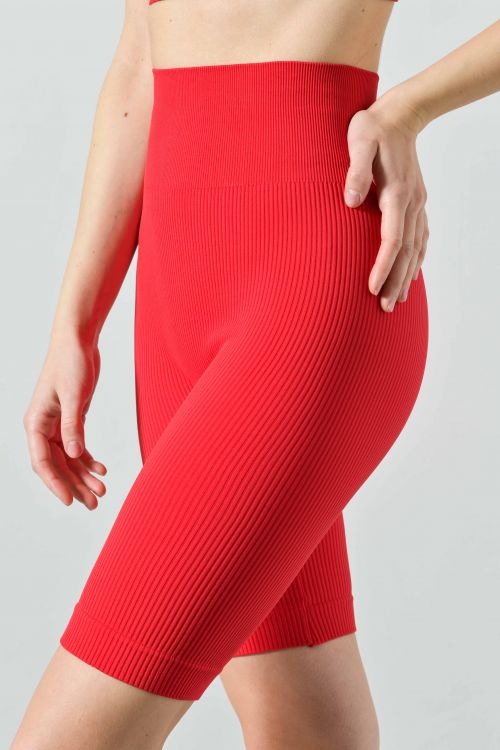 Women's Seamless Ribbed Microfiber Sports Bike Shorts
