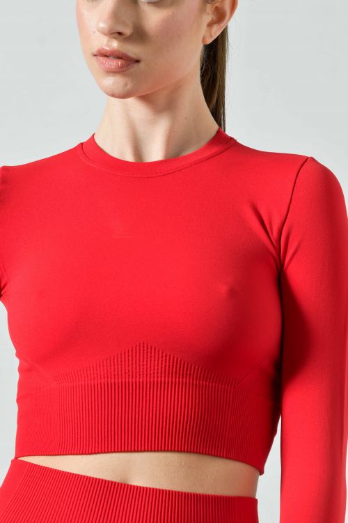 Long Sleeve Seamless Microfiber Ribbed Crop Top, Ilena Collection